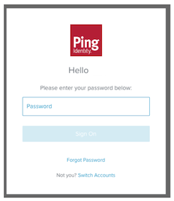 Login screen password only